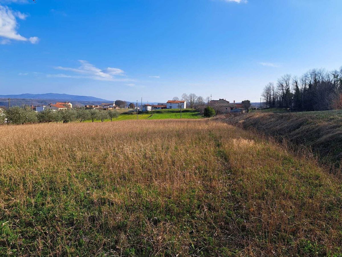 Terreno edificabile con progetto e permesso, nelle vicinanze di Barban