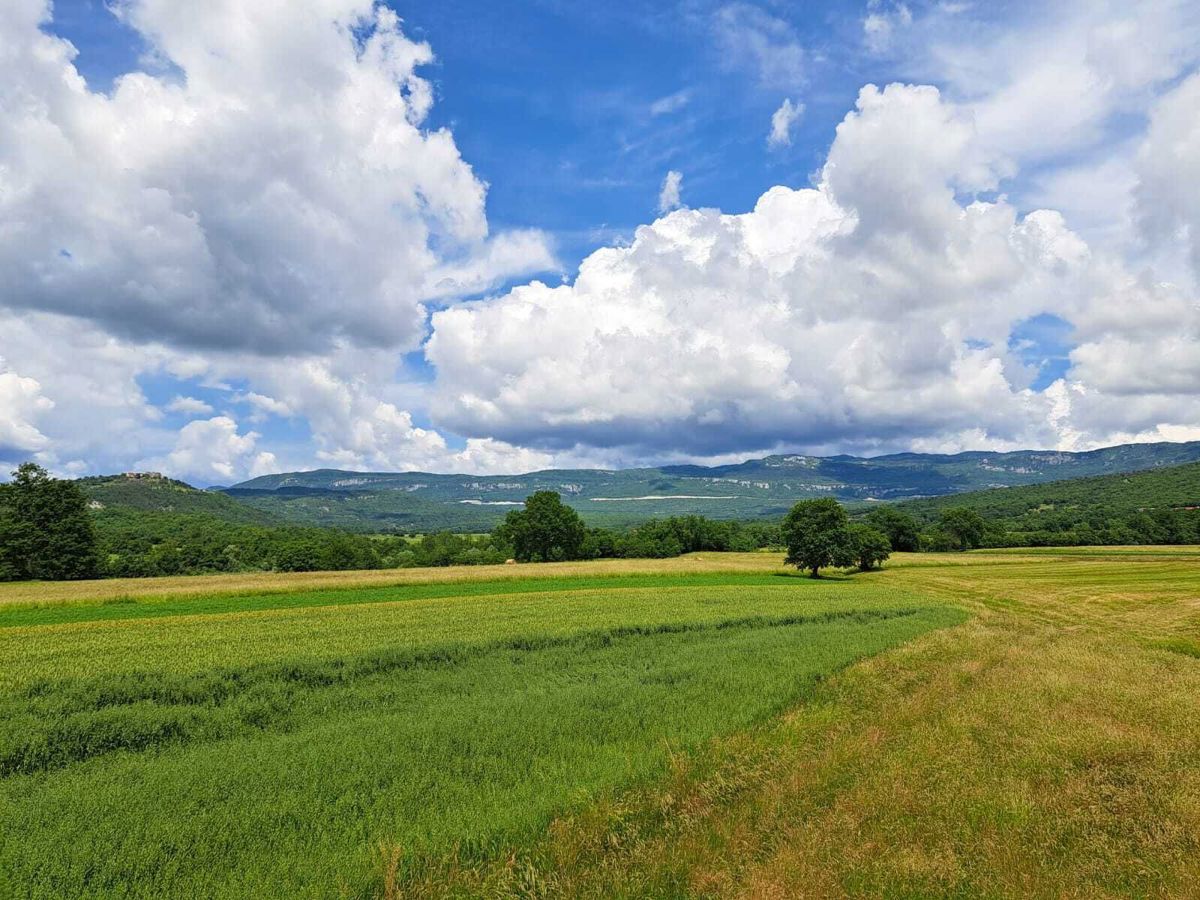 Boljun, casa con vista aperta sulla natura.