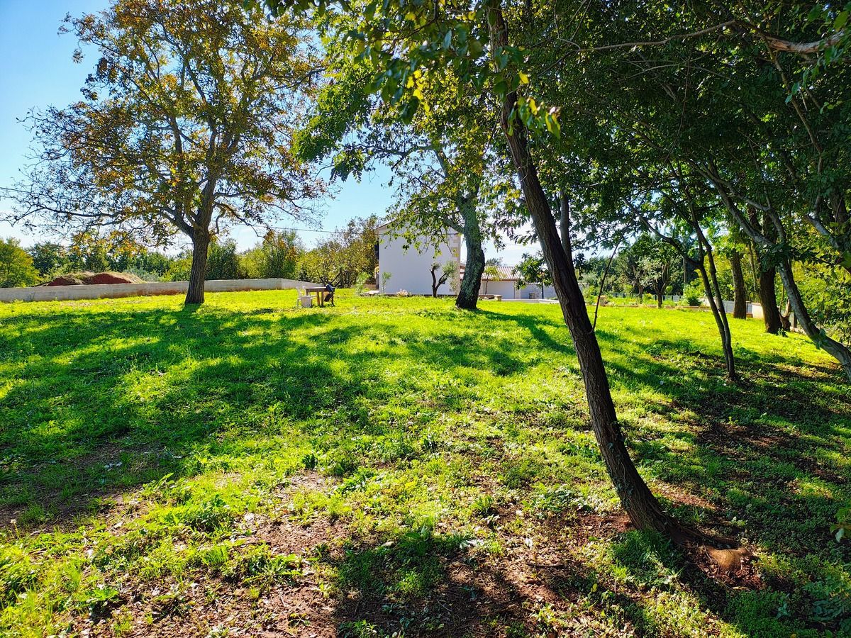 Istria, Barban, casa in pietra ristrutturata con piscina e ampio giardino.