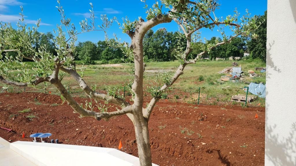 Casa di lusso con piscina riscaldata, zona di Visignano