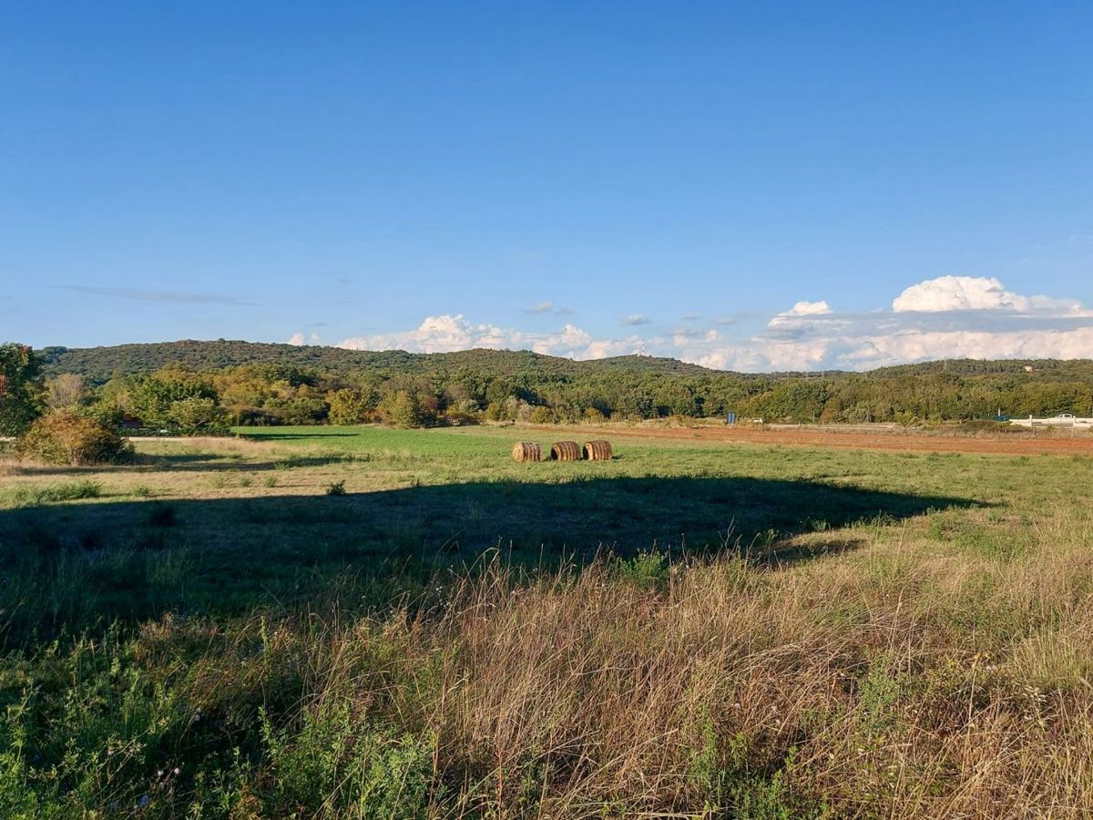 Terreno edificabile di 2770 m2, vicino a Rovigno