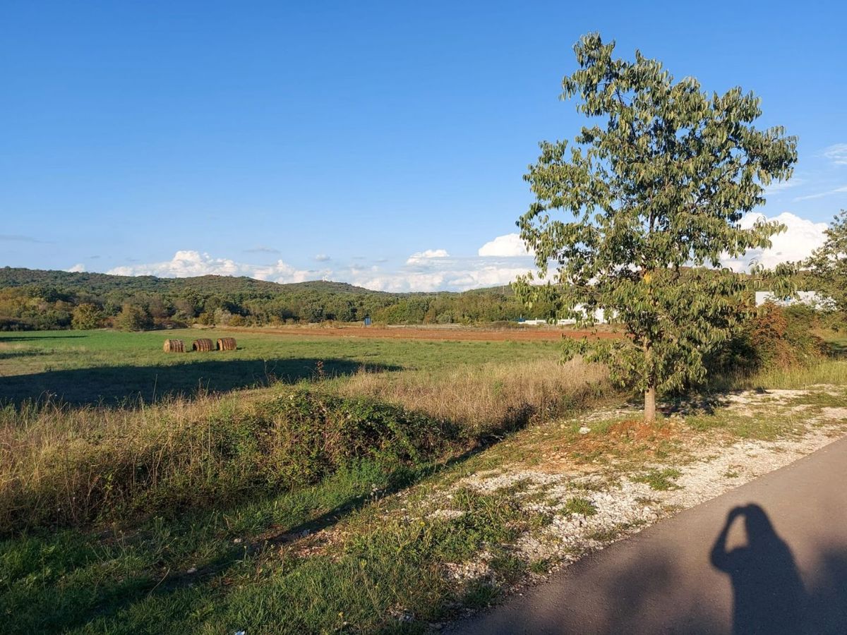 Terreno edificabile di 2770 m2, vicino a Rovigno