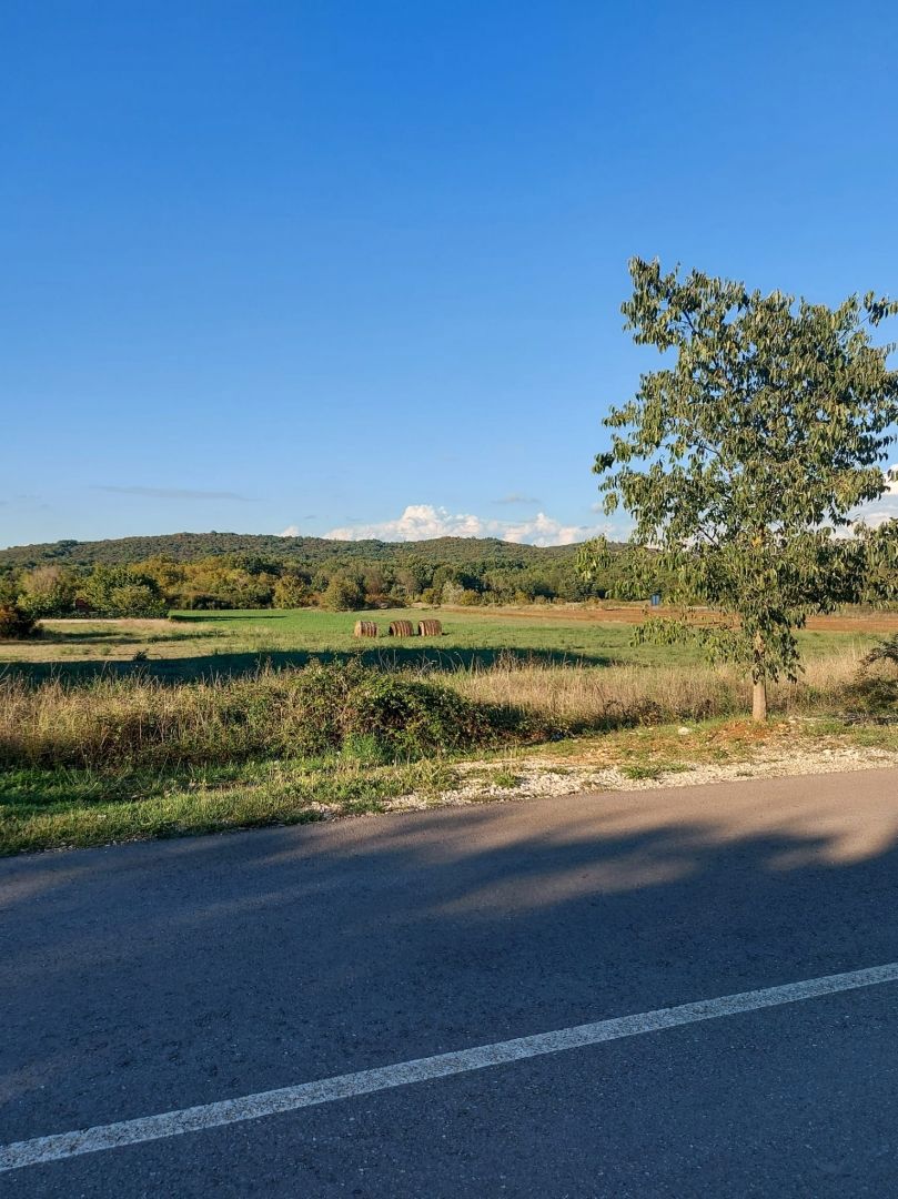 Terreno edificabile di 2770 m2, vicino a Rovigno