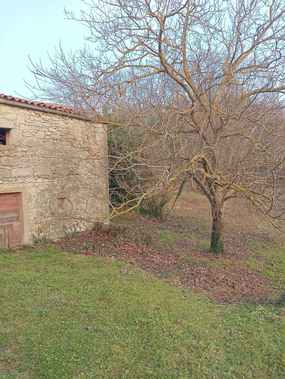 Casa in pietra per l'adattamento