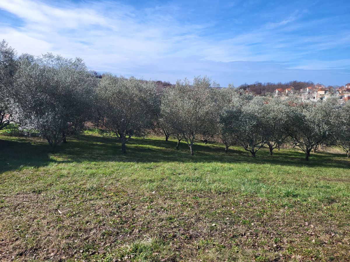 Terreno edificabile in una posizione attraente, Visinada