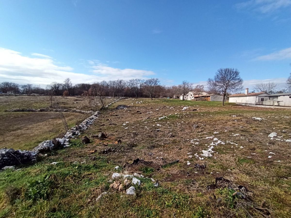 Un ampio terreno edificabile di 5245 m2, nelle vicinanze di Barban