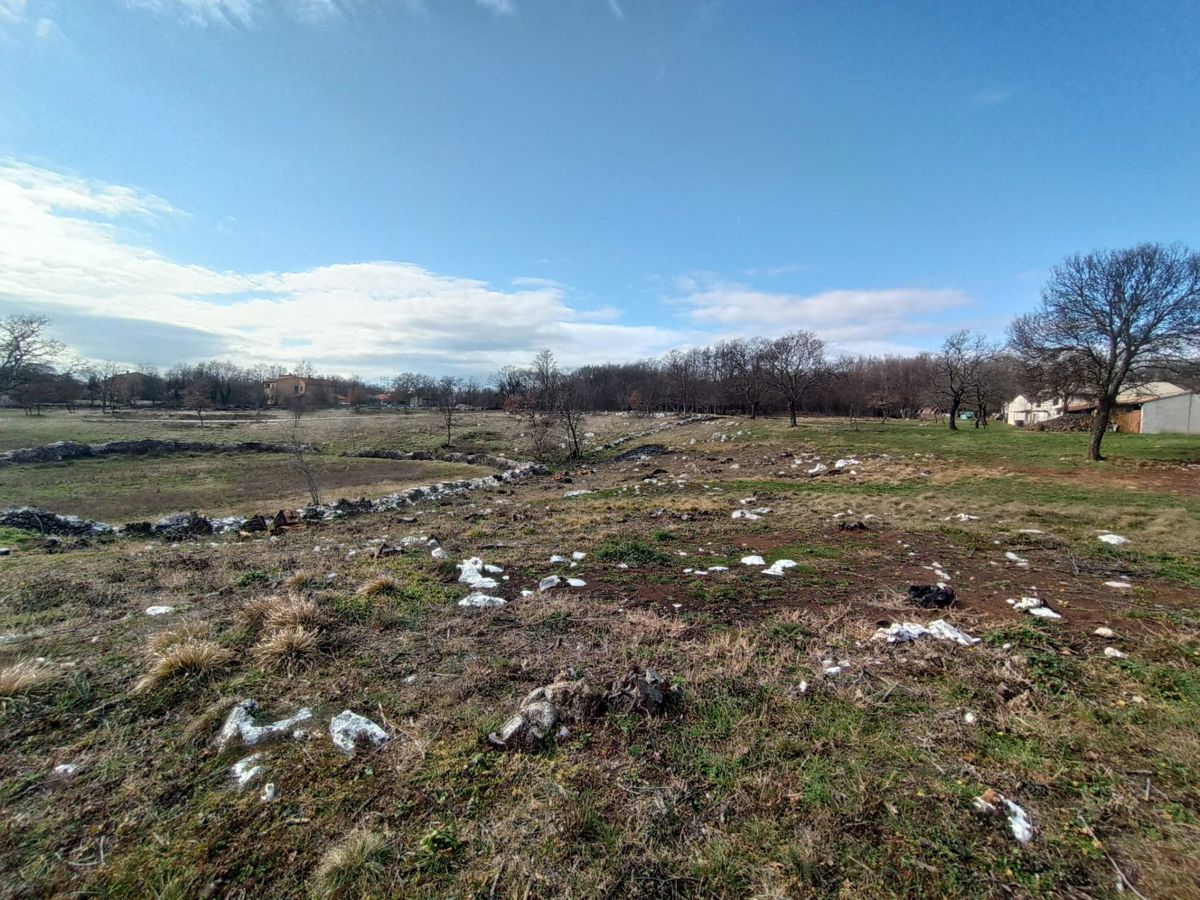 Un ampio terreno edificabile di 5245 m2, nelle vicinanze di Barban