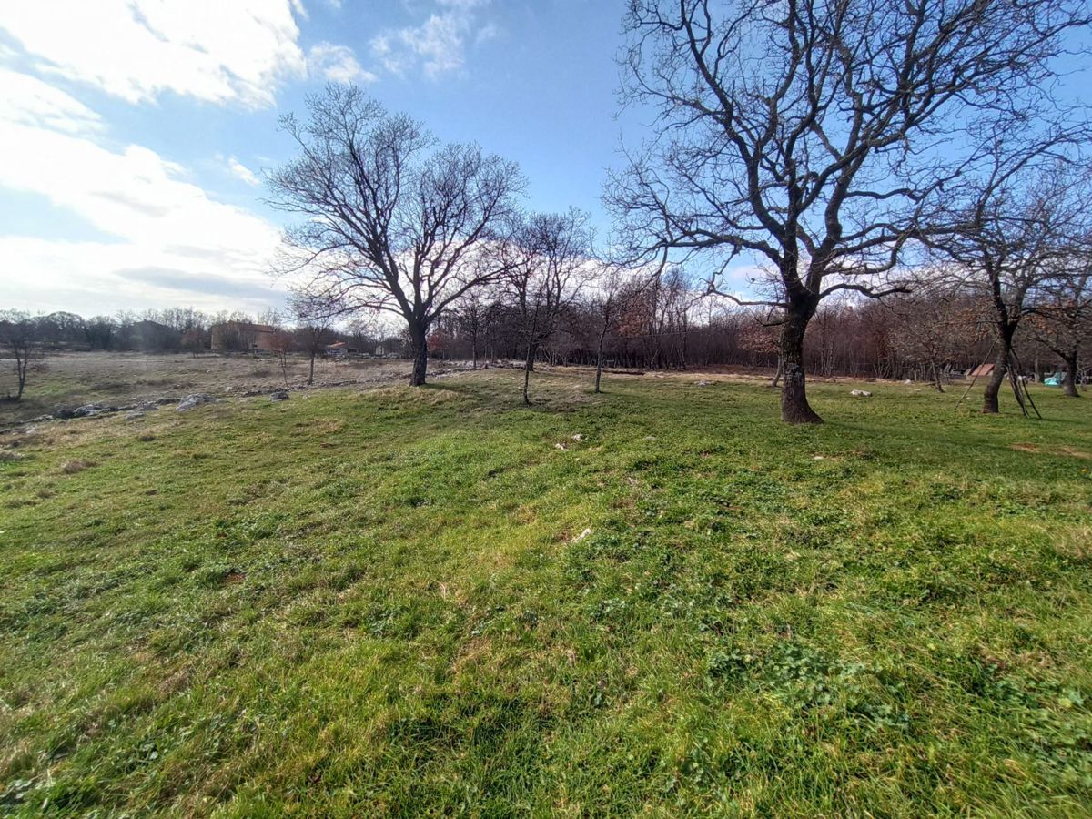 Un ampio terreno edificabile di 5245 m2, nelle vicinanze di Barban