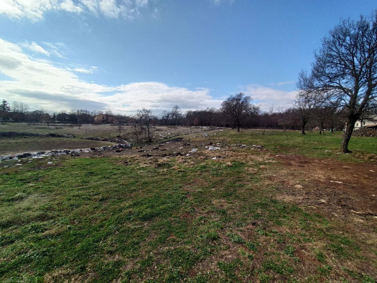 Un ampio terreno edificabile di 5245 m2, nelle vicinanze di Barban