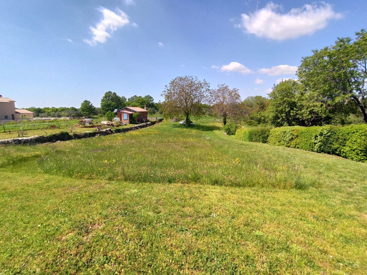 Ampio terreno edificabile 3024 m2, vicino a Barban