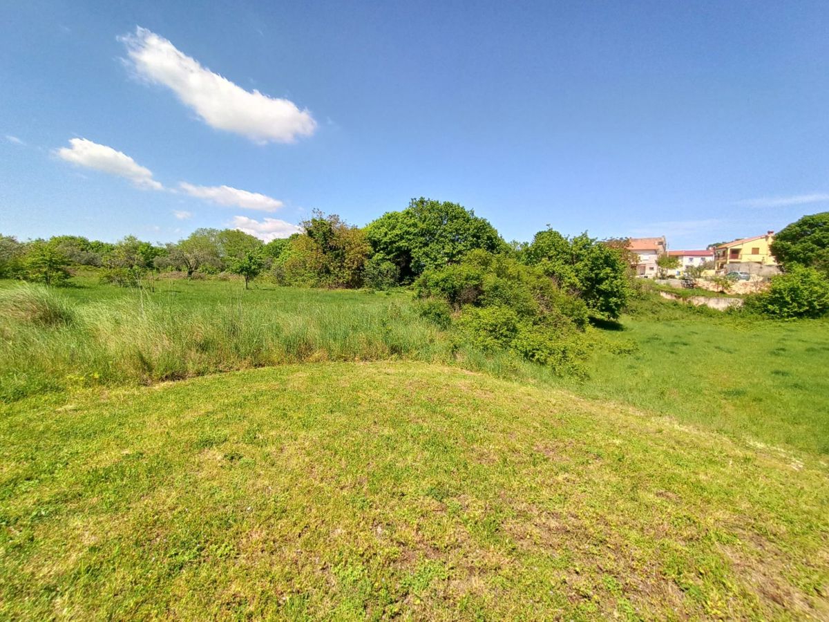 Ampio terreno edificabile 3024 m2, vicino a Barban