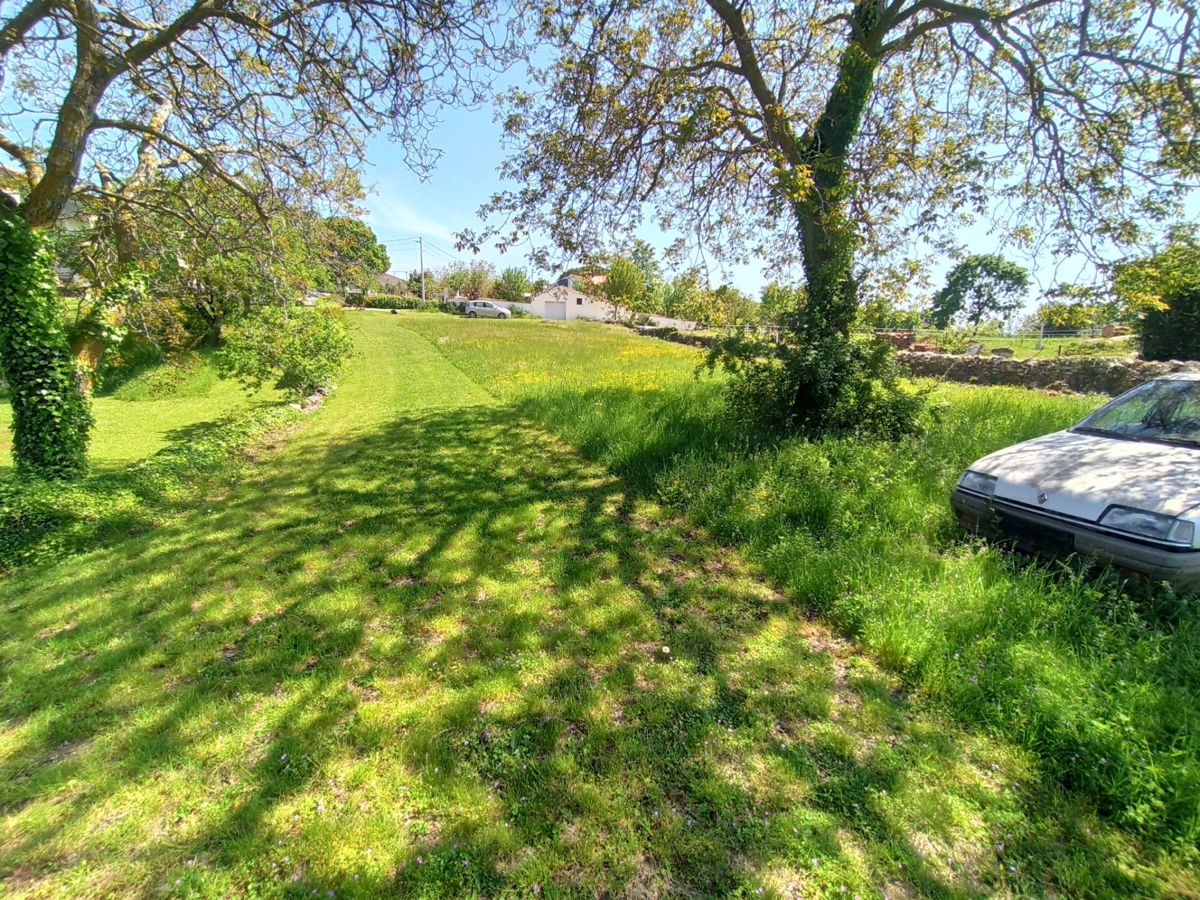 Ampio terreno edificabile 3024 m2, vicino a Barban