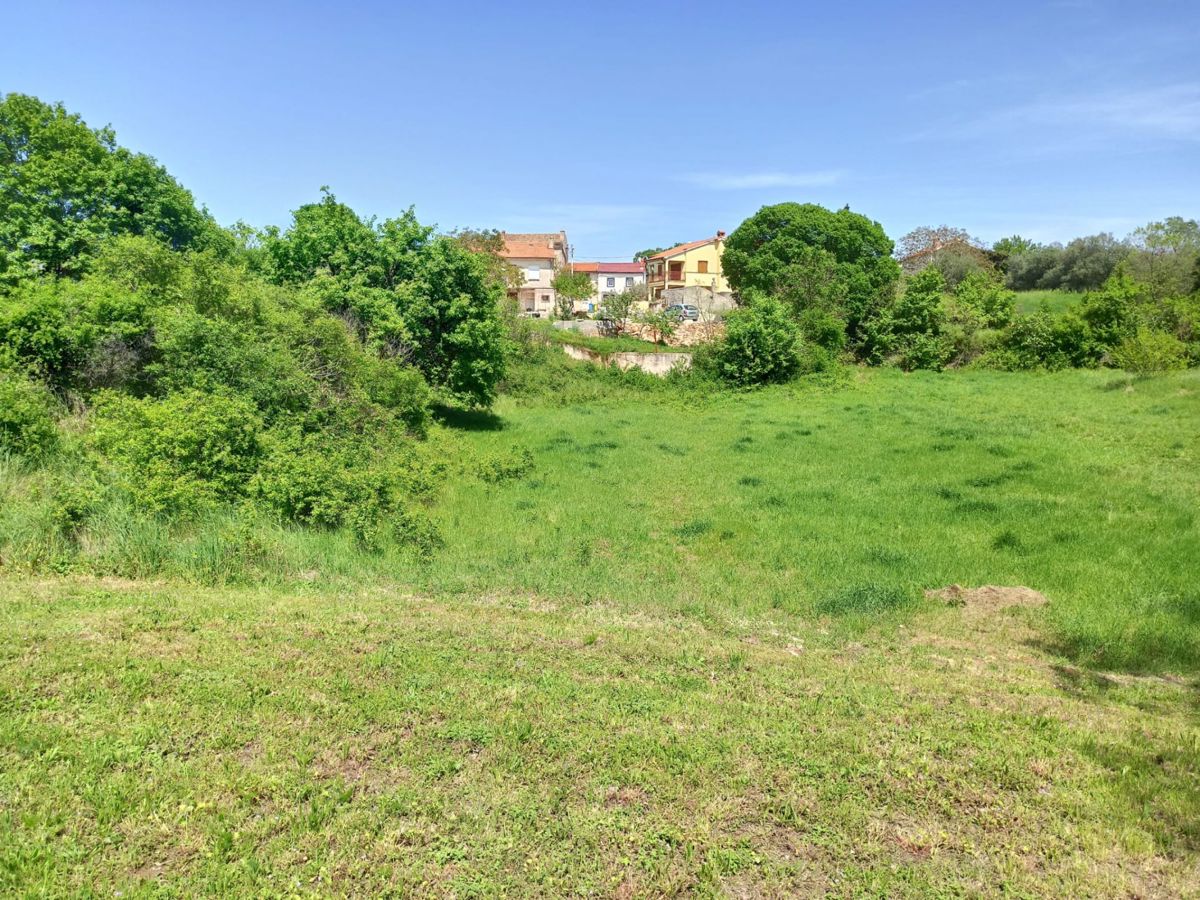 Ampio terreno edificabile 3024 m2, vicino a Barban