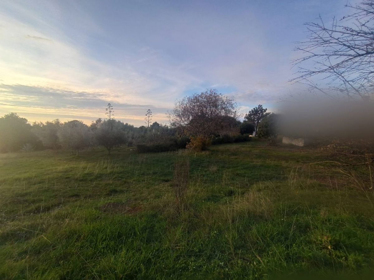 Terreno edificabile con vista mare, vicino a Dignano