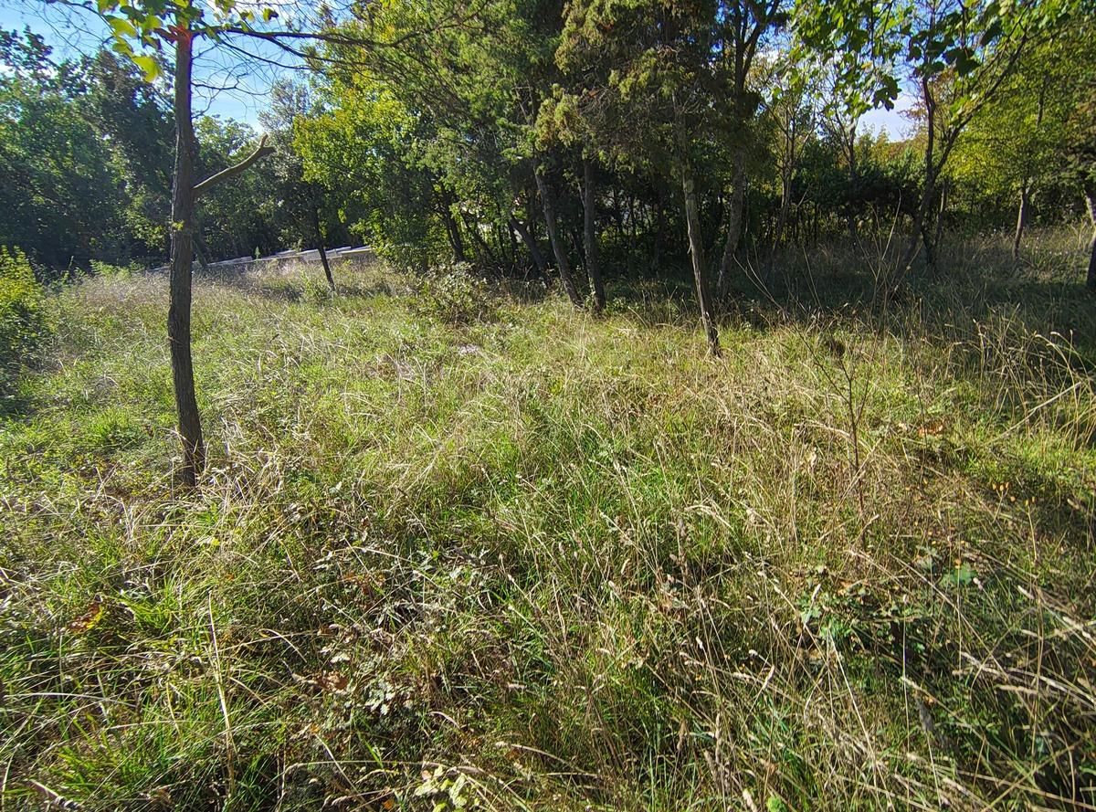 Terreno edificabile in zona Barban.