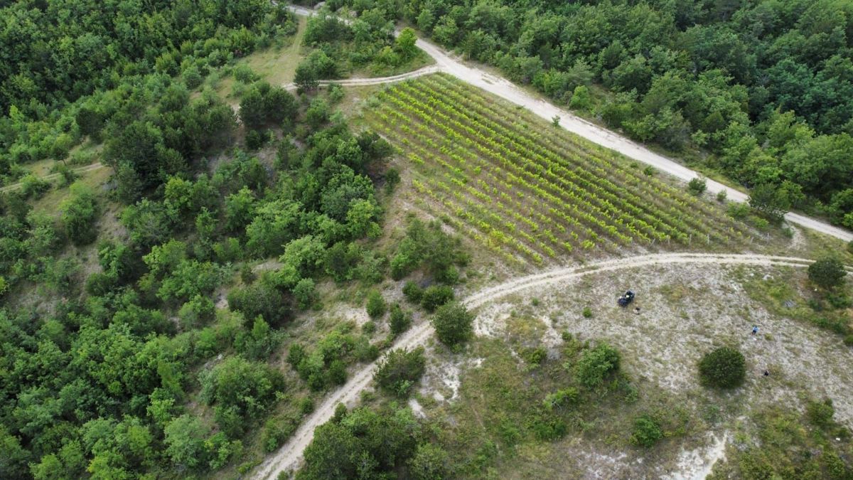 Ampio terreno agricolo, Gračišće