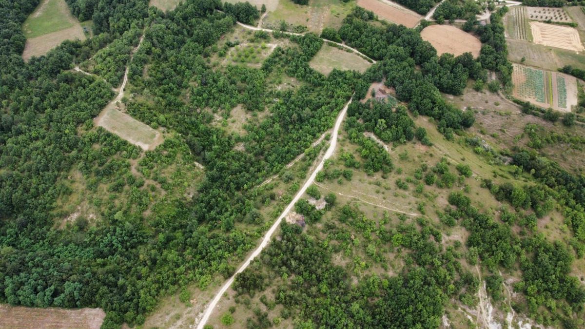 Ampio terreno agricolo, Gračišće