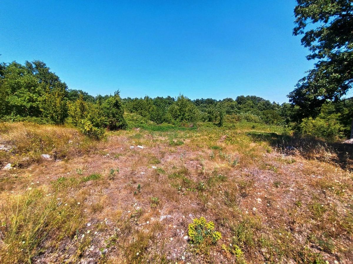 Terreno edificabile di 2472 m2, nelle vicinanze di Svetvinčent