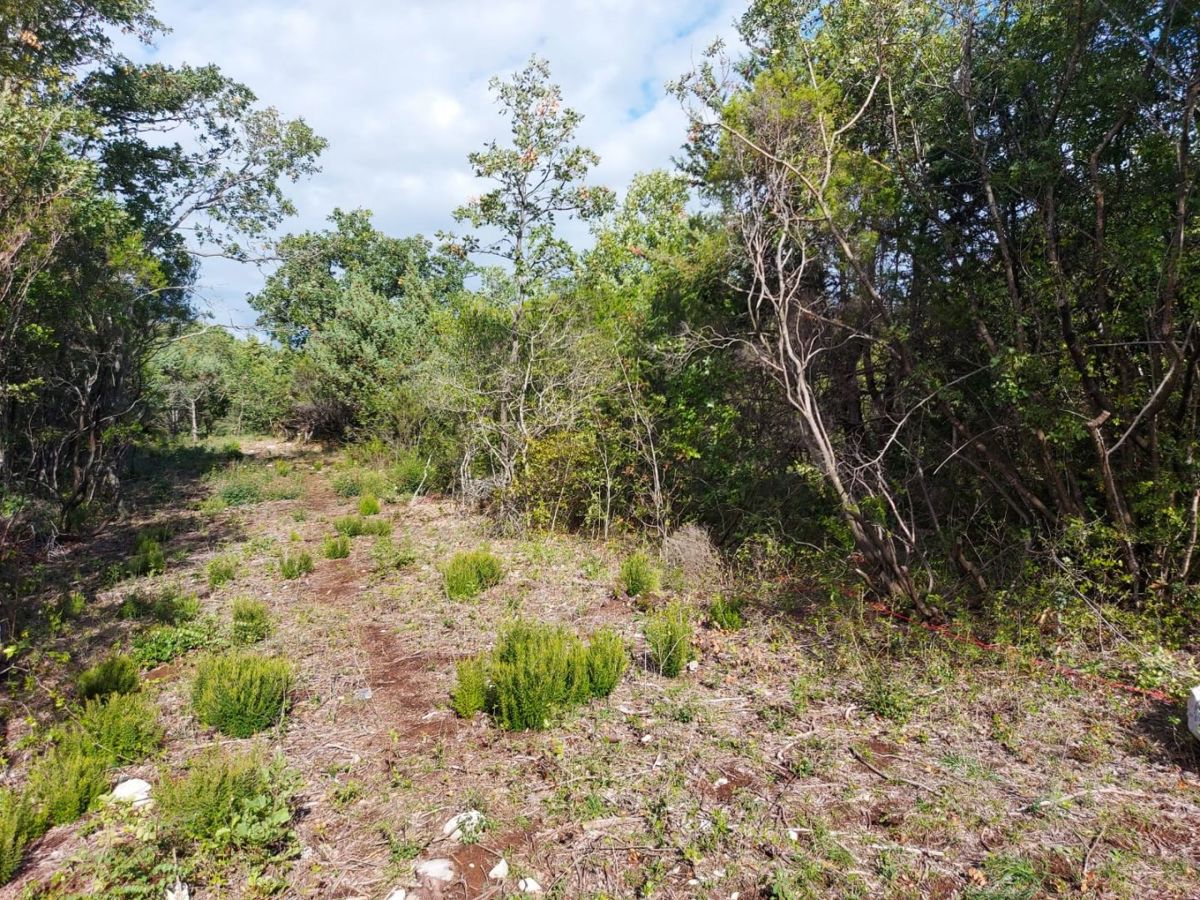 Terreno edificabile di 624 m2, vicino a Marčana