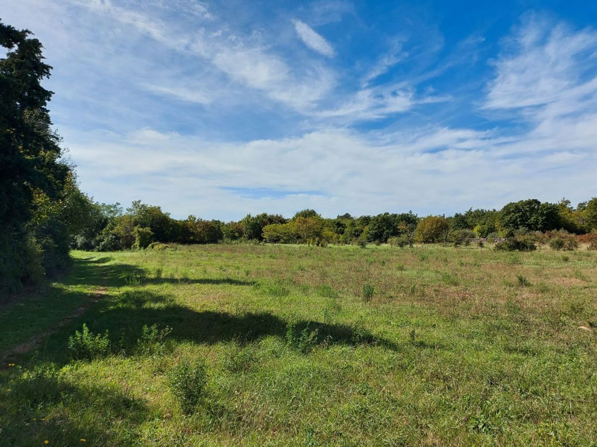 Terreno agricolo di 5292 m2, area più ampia di Barban