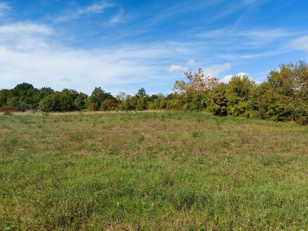 Terreno agricolo di 5292 m2, area più ampia di Barban