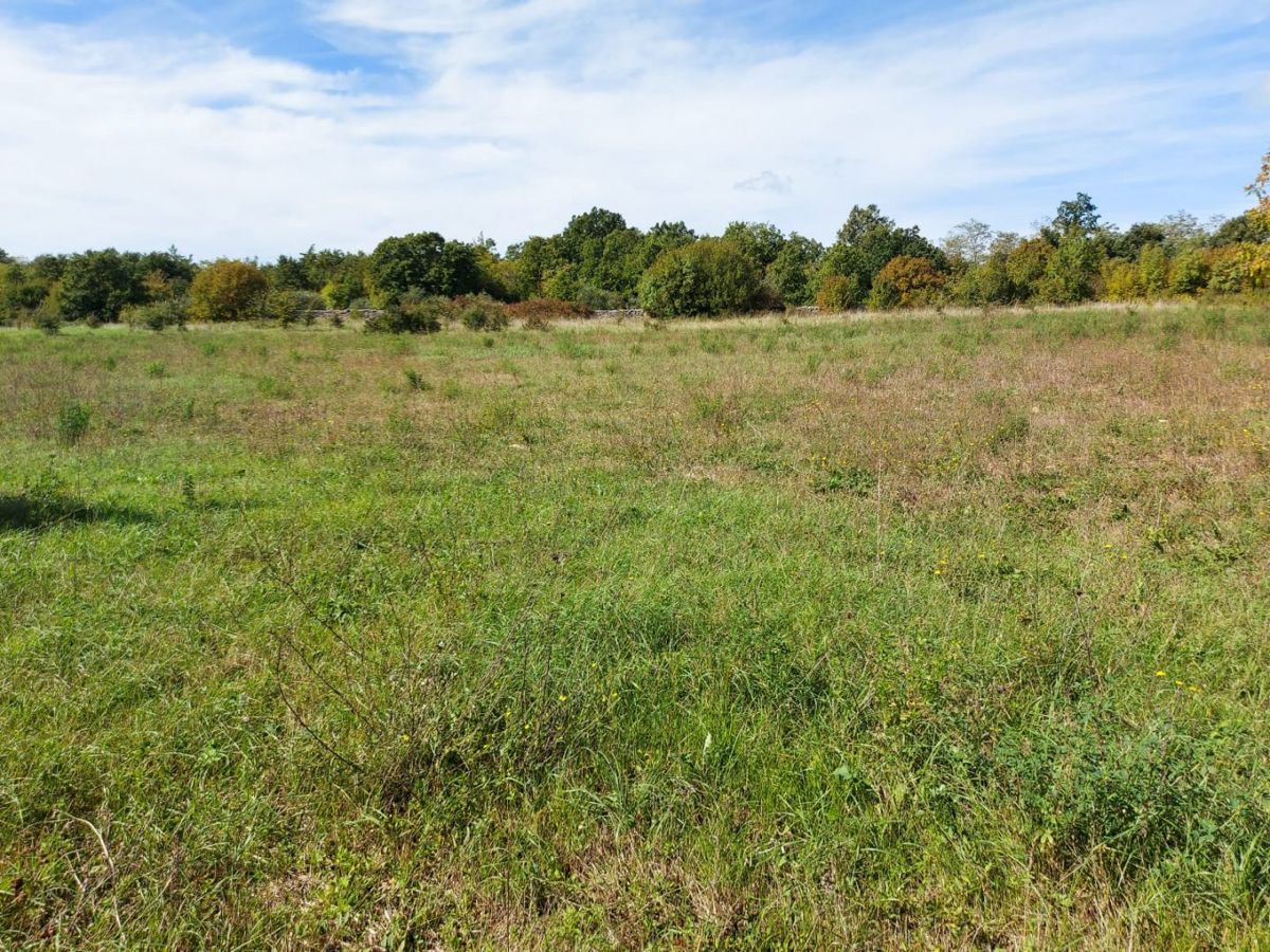 Terreno agricolo di 5292 m2, area più ampia di Barban