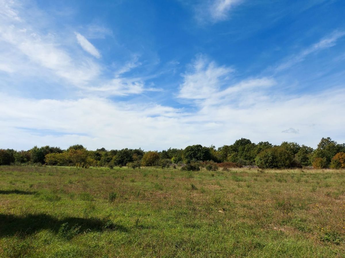 Terreno agricolo di 5292 m2, area più ampia di Barban