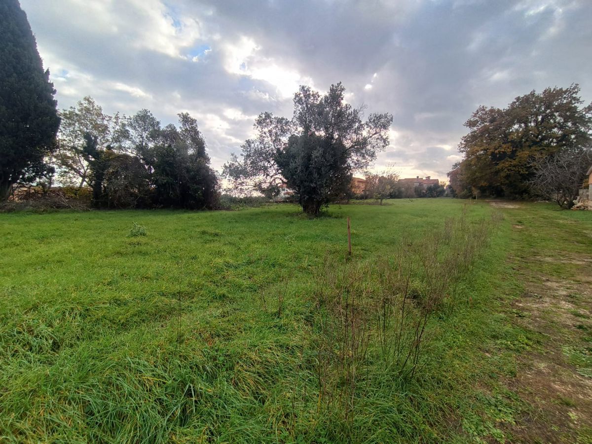 Terreno edificabile in una posizione tranquilla, vicino a Marčana