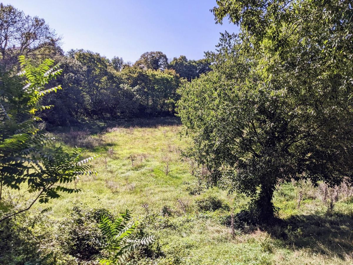 Sanvincenti, complesso di terreno edificabile e agricolo