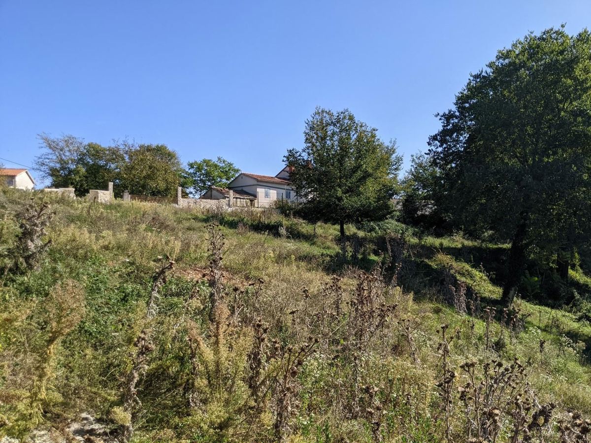 Sanvincenti, complesso di terreno edificabile e agricolo