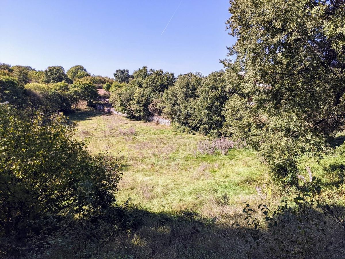 Sanvincenti, complesso di terreno edificabile e agricolo