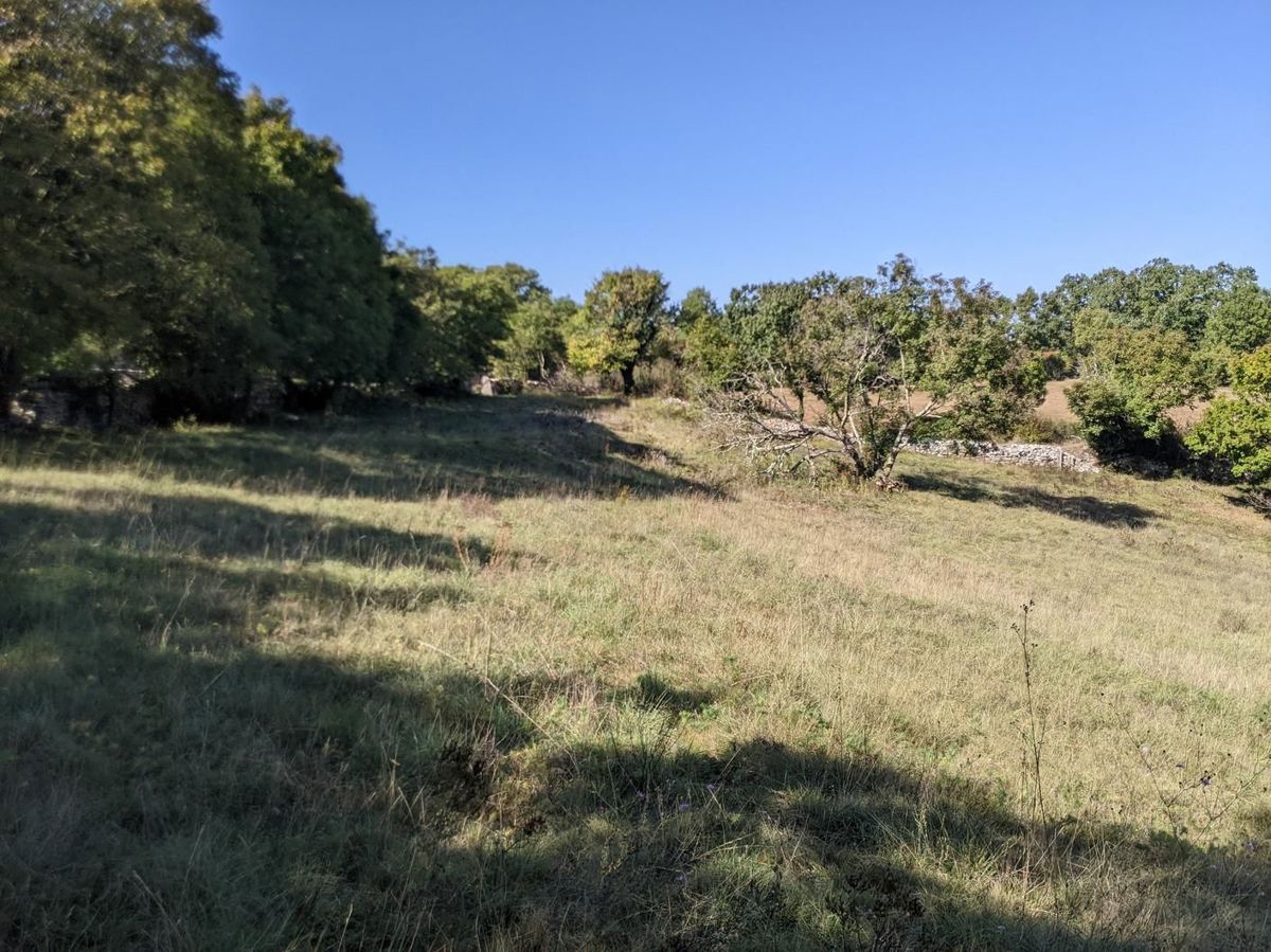 Sanvincenti, complesso di terreno edificabile e agricolo