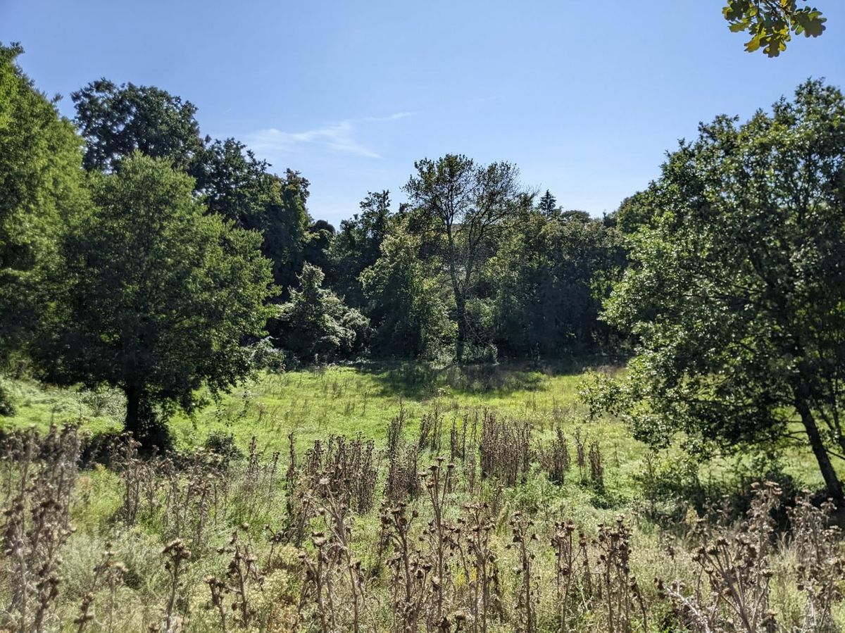 Sanvincenti, complesso di terreno edificabile e agricolo