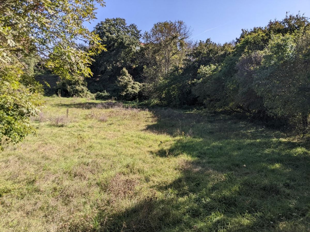 Sanvincenti, complesso di terreno edificabile e agricolo