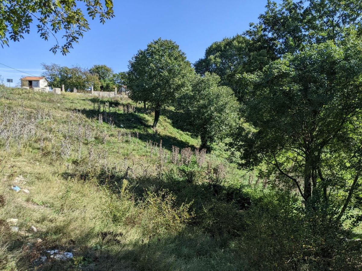 Sanvincenti, complesso di terreno edificabile e agricolo