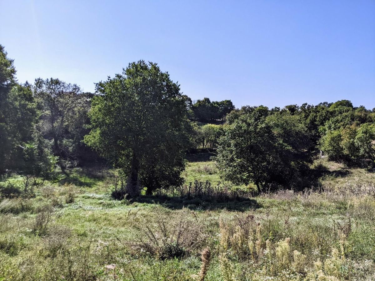 Sanvincenti, complesso di terreno edificabile e agricolo