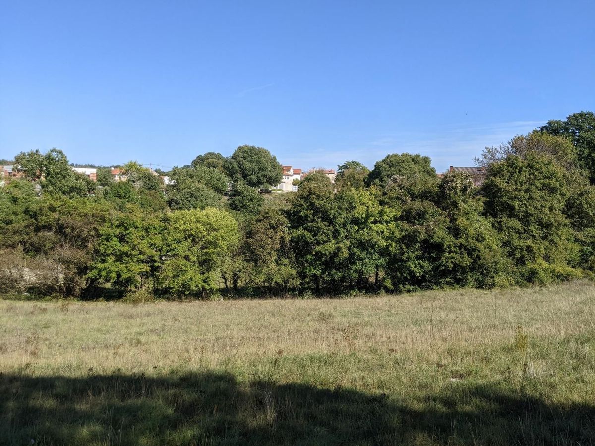 Sanvincenti, complesso di terreno edificabile e agricolo