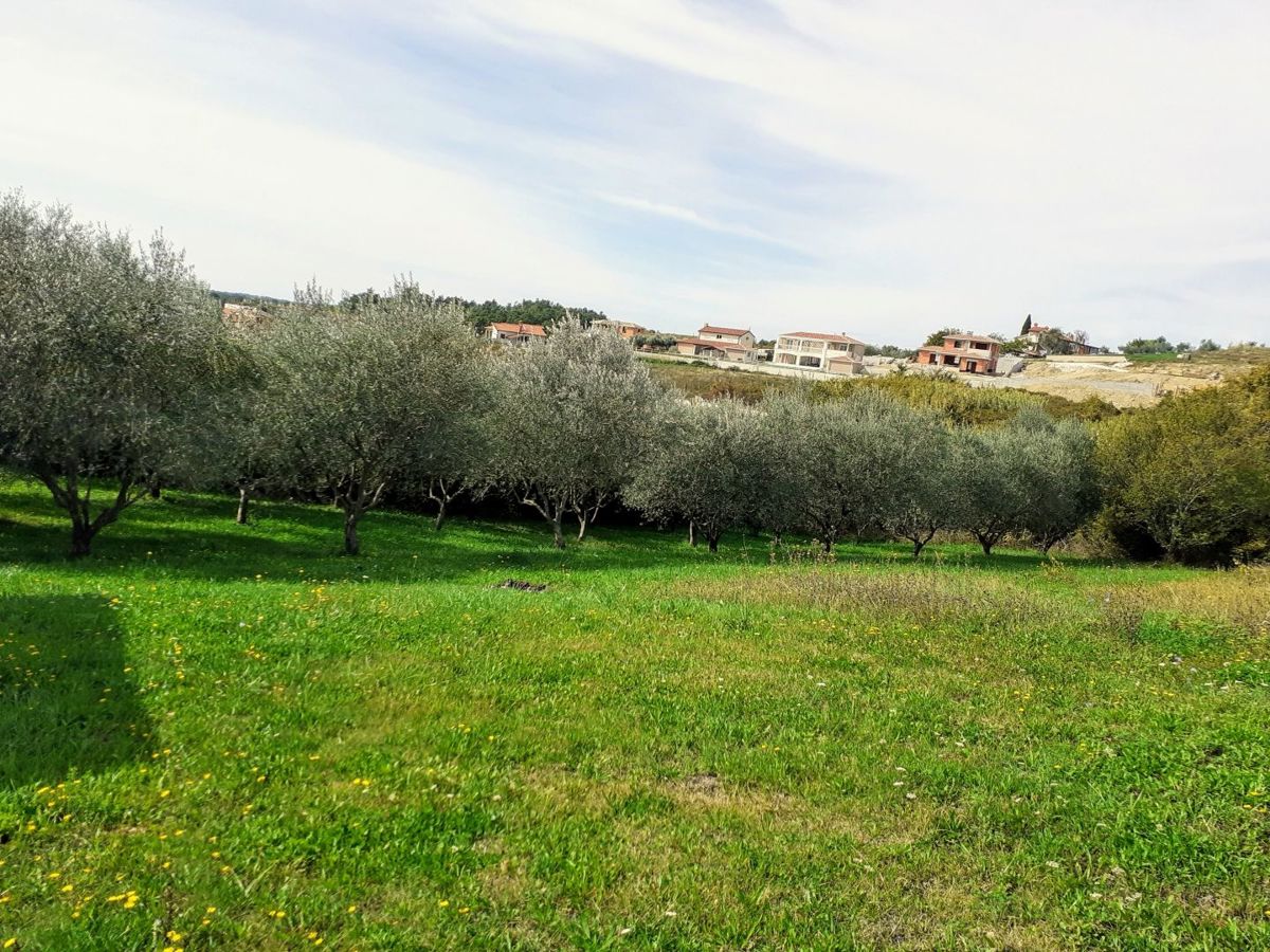 Casa con 5 appartamenti e bella vista, Visinada