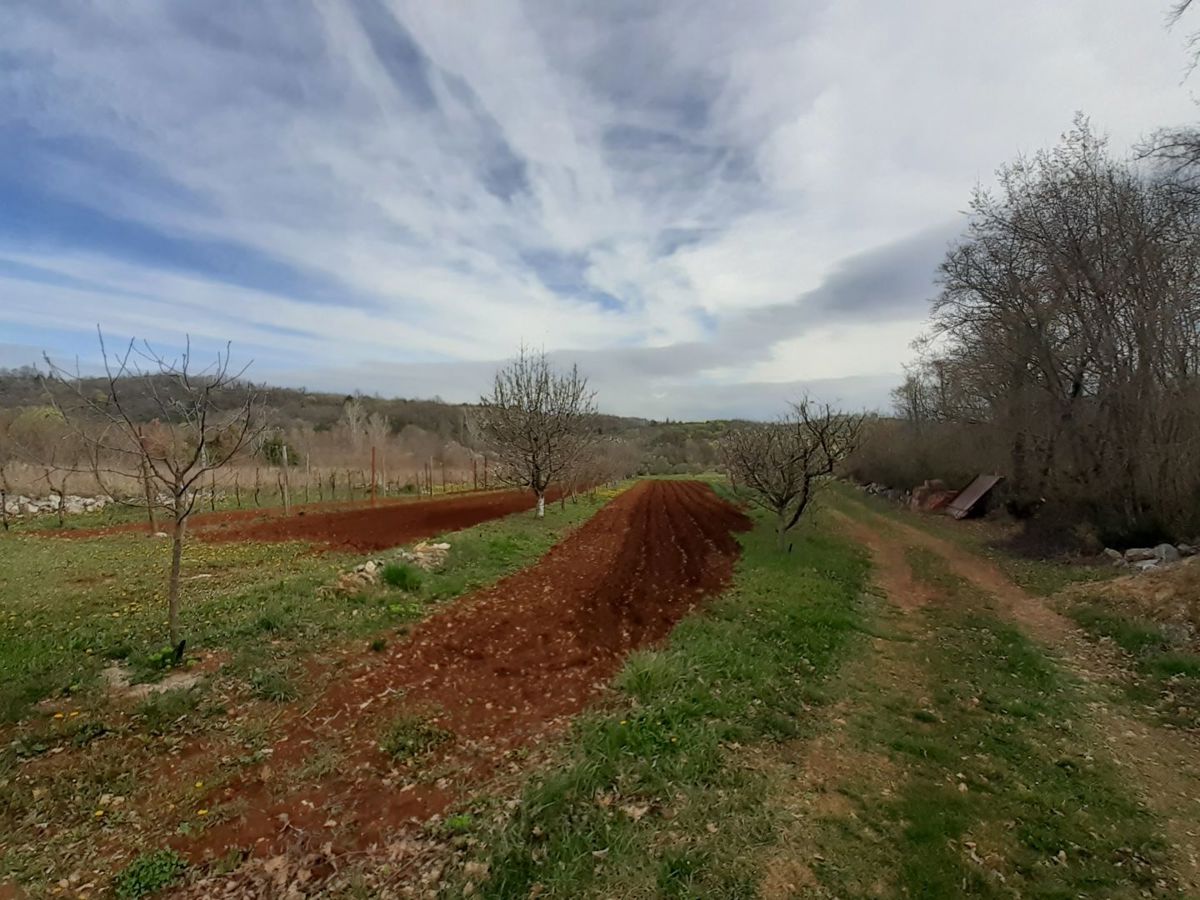 Casa indigena istriana con una spaziosa proprietà di 27806 m2