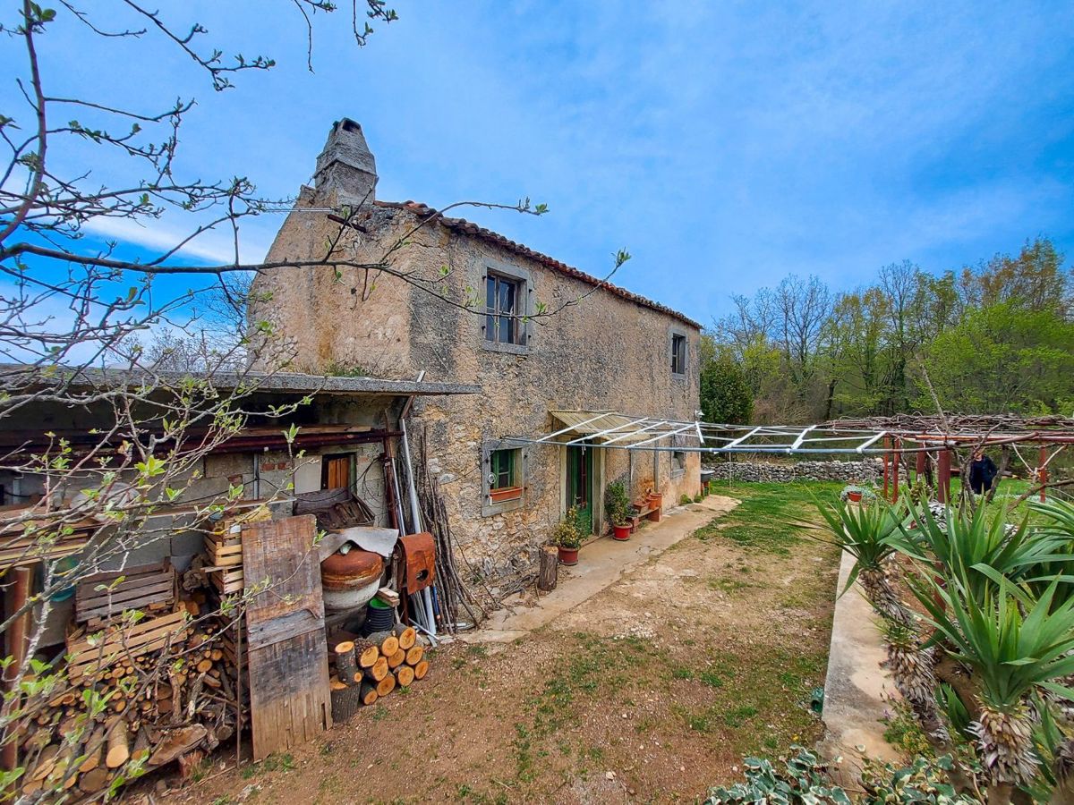 Casa indigena istriana con una spaziosa proprietà di 27806 m2