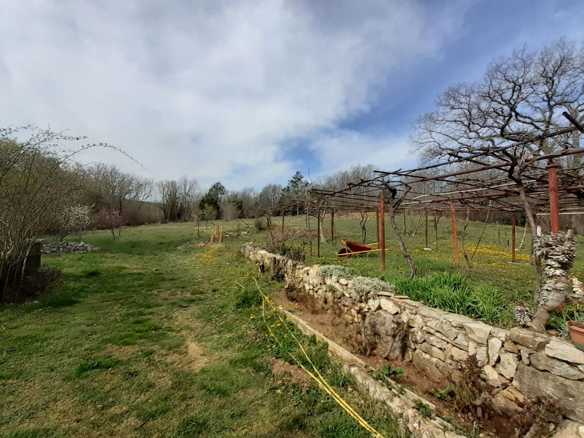 Casa indigena istriana con una spaziosa proprietà di 27806 m2