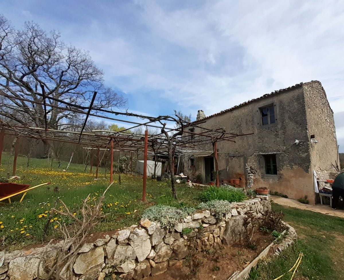 Casa indigena istriana con una spaziosa proprietà di 27806 m2