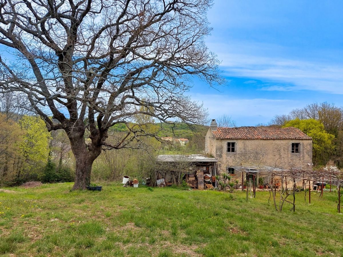 Casa indigena istriana con una spaziosa proprietà di 27806 m2