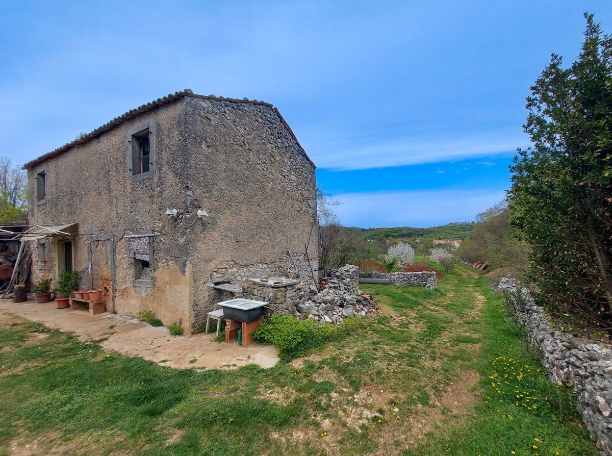 Casa indigena istriana con una spaziosa proprietà di 27806 m2