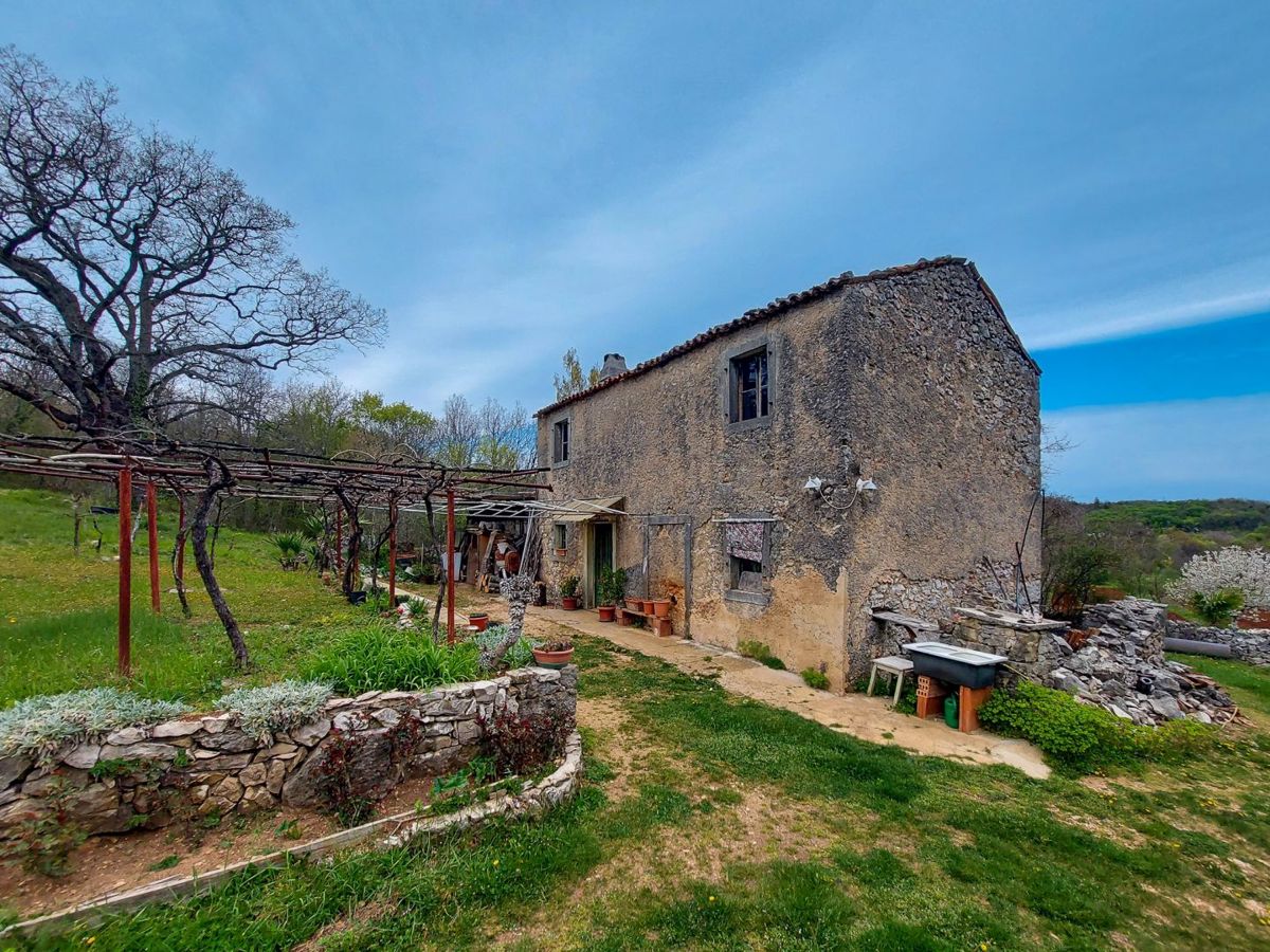 Casa indigena istriana con una spaziosa proprietà di 27806 m2