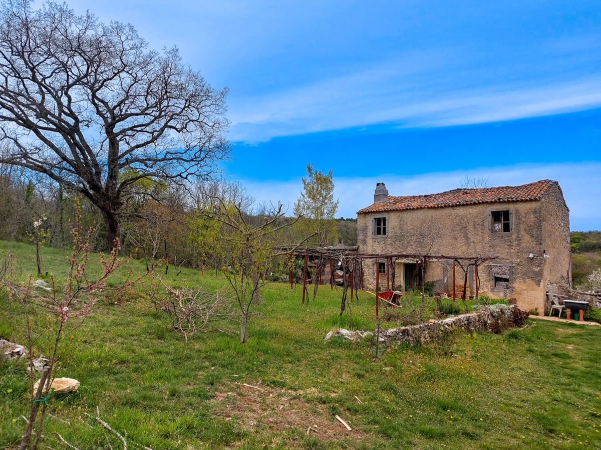 Casa indigena istriana con una spaziosa proprietà di 27806 m2