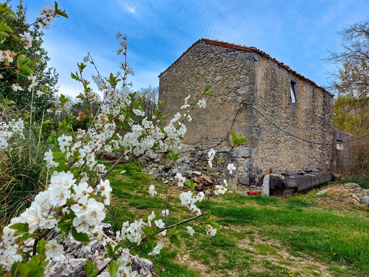 Casa indigena istriana con una spaziosa proprietà di 27806 m2