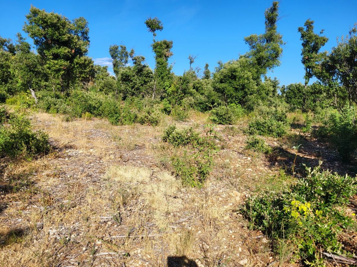 Ampio terreno edificabile per la costruzione di più edifici