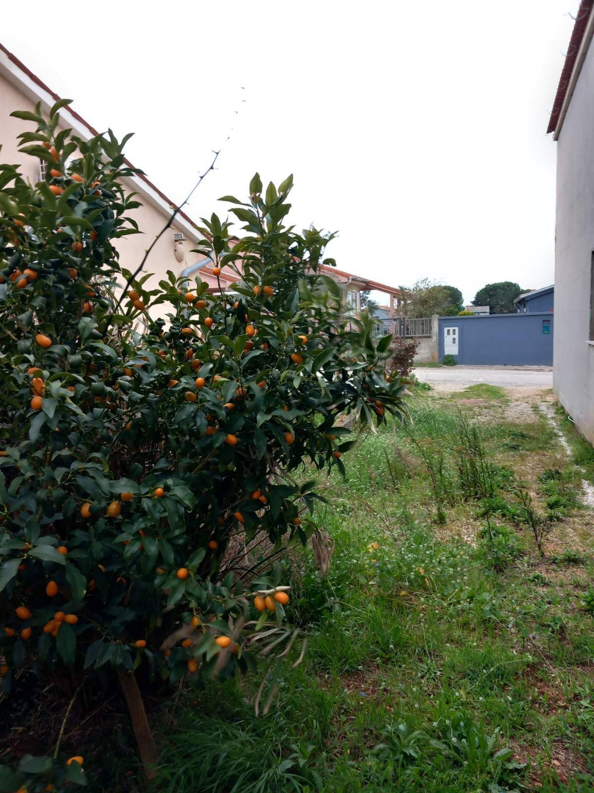 Casa indipendente con piscina e barbecue, Šikići, Pola