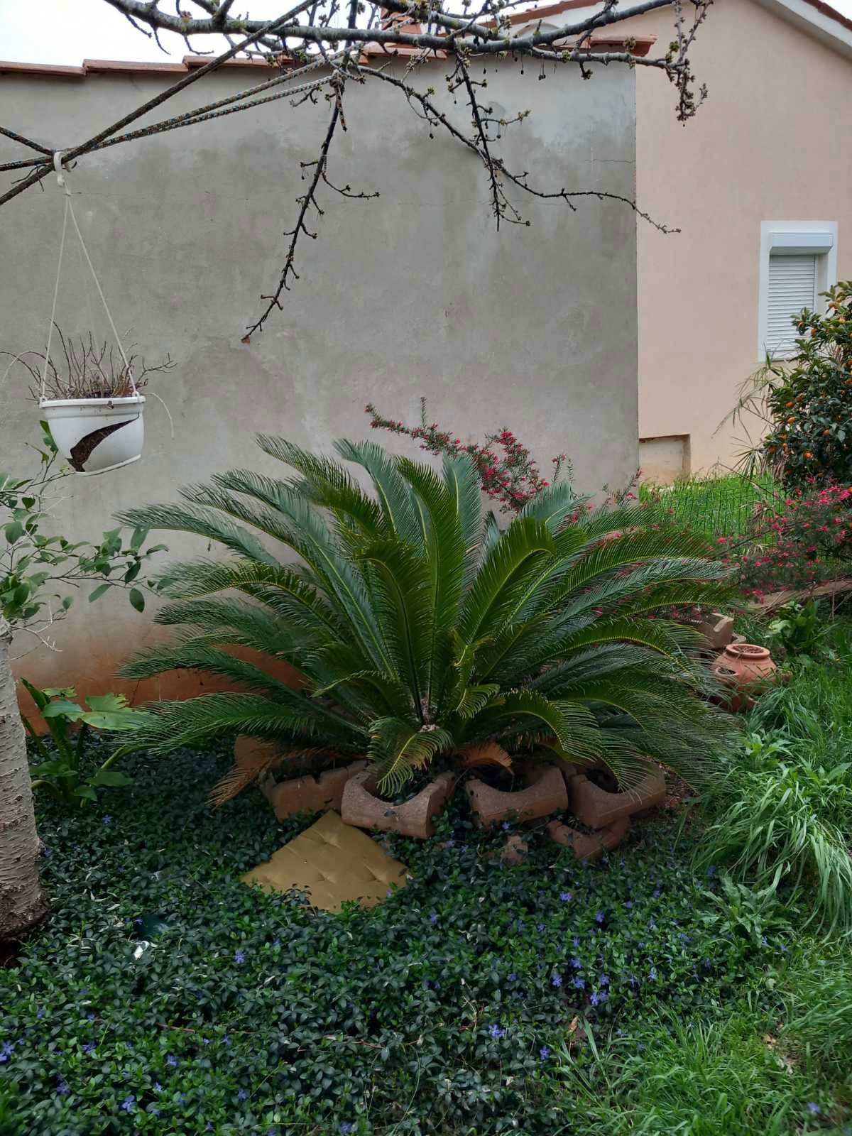 Casa indipendente con piscina e barbecue, Šikići, Pola